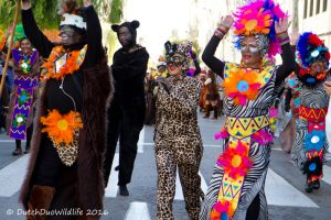 carnaval, carnival, ibiza, parade, house, rental, huis, huren, one, villa, villas, ourbigmove, dutchduowildlife, photo, photography, 