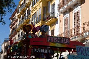 carnaval, carnival, ibiza, parade, house, rental, huis, huren, one, villa, villas, ourbigmove, dutchduowildlife, photo, photography, 